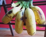 1001blog.jpg