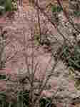 DSCN0004.JPG