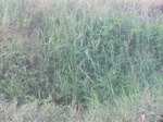DSCN0122.JPG