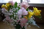 IMGP0020.JPG