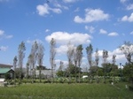 KICX0658.JPG