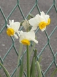 KICX0831.JPG