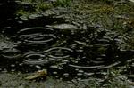 KICX1574.JPG