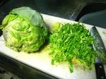 cabbage.JPG