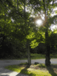 jomon0818.gif